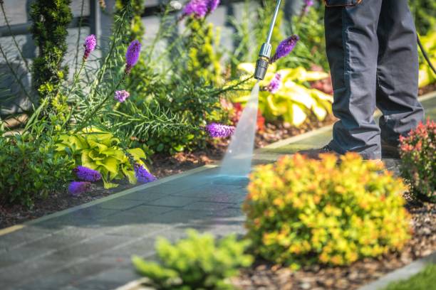 Trusted Stormstown, PA Pressure Washing Services Experts